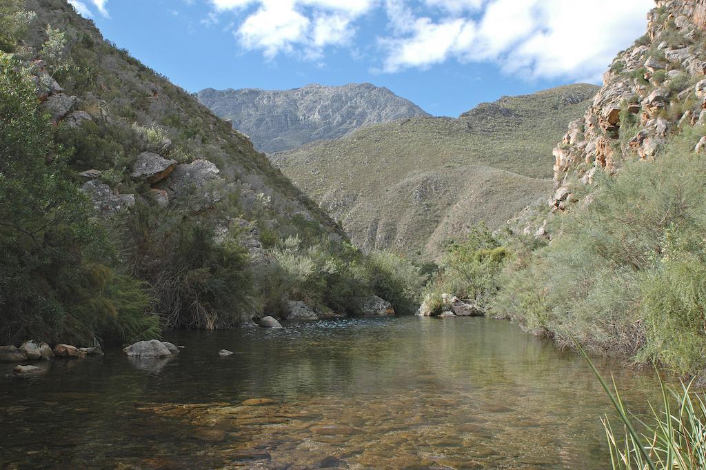 The Retreat At Groenfontein Calitzdorp Extérieur photo