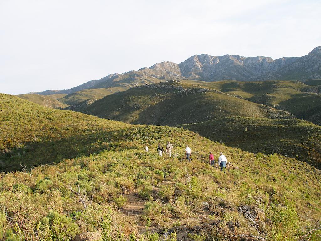 The Retreat At Groenfontein Calitzdorp Extérieur photo